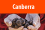 Canberra - Wyprawy Australia 21 dni Baner