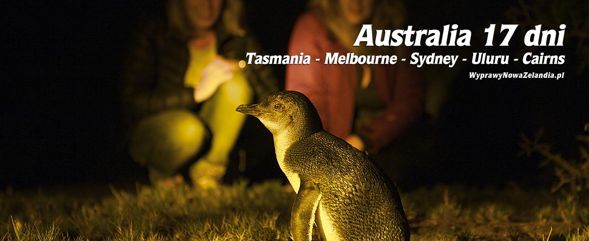 Tasmania - Wyprawy Australia 17 dni Baner